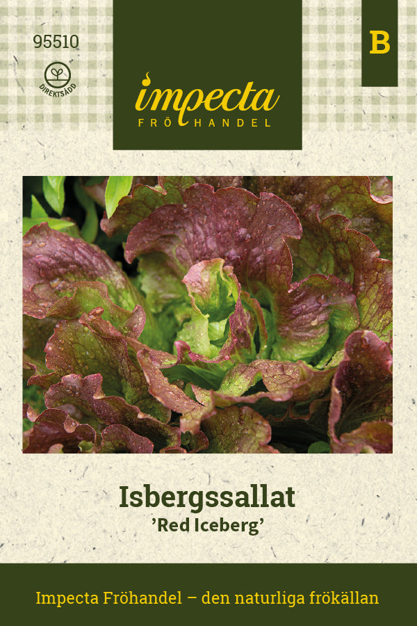 Frø: Icebergsalat 'Red Iceberg'