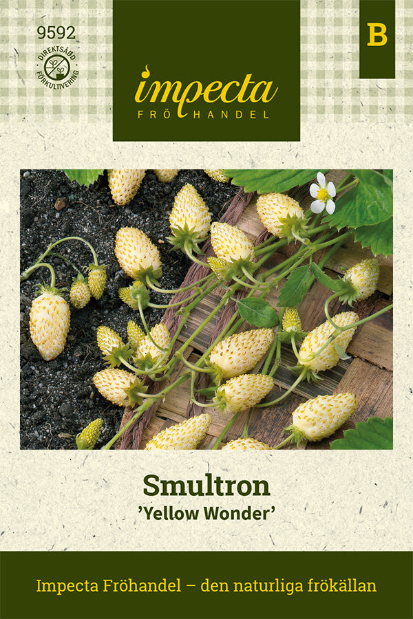 Frø: Smultron 'Yellow Wonder'