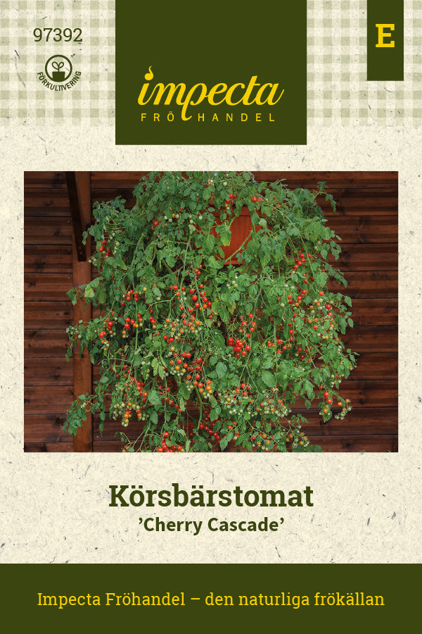 Frø: Cherrytomat 'Cherry Cascade'