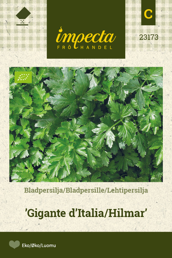 Frø: Bladpersille 'Gigante d'italia/Hilmar'