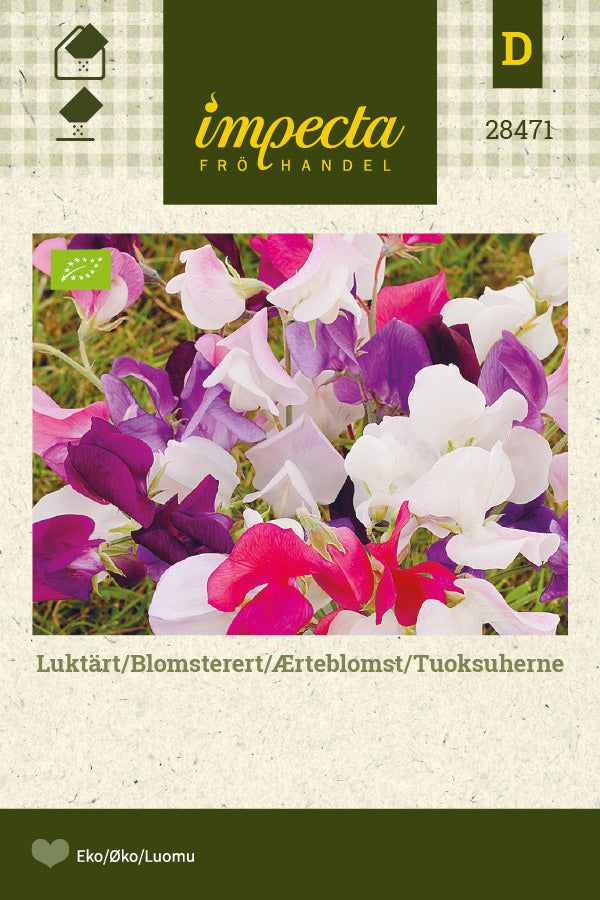 Frø: Ærteblomst