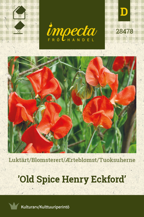 Frø: Ærteblomst 'Old Spice Henry Eckford'