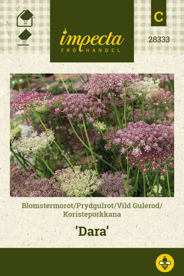 Frø: Vild gulerod 'Dara'
