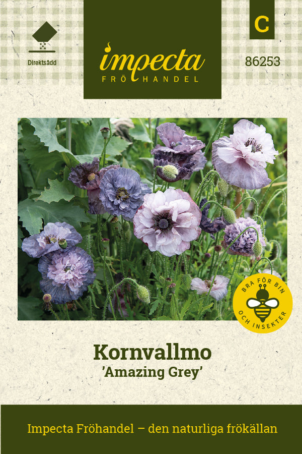 Frø: Kornvalmue 'Amazing Grey'