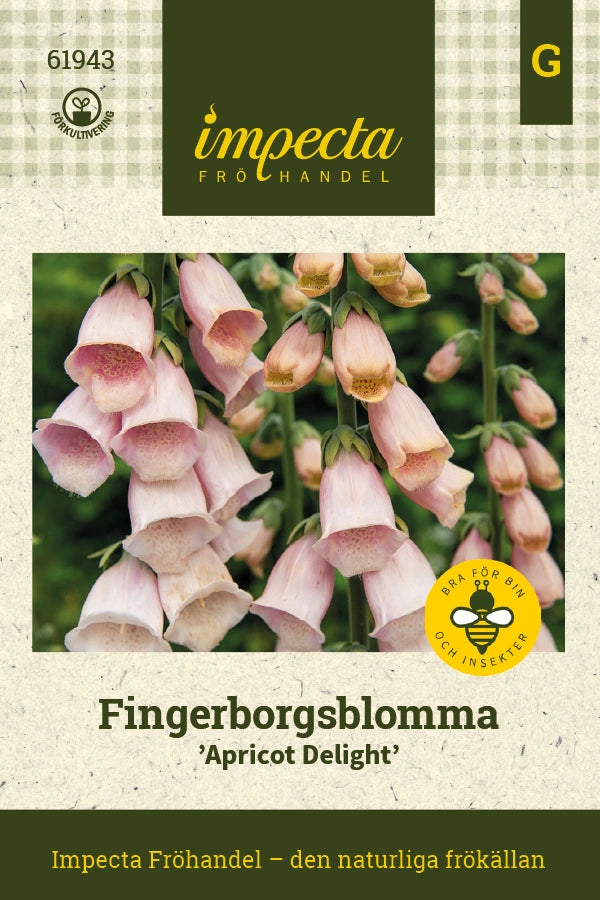 Frø: Fingerbøl ' Apricot Delight'