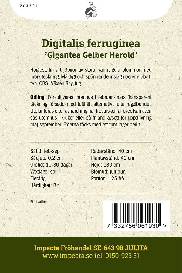 Frø: Fingerbøl ' Gigantea Gelber Herold'