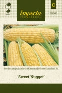 Frø: Majs F1 'Sweet Nugget'