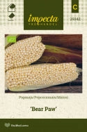 Frø: Popcornmajs 'Bear Paw'