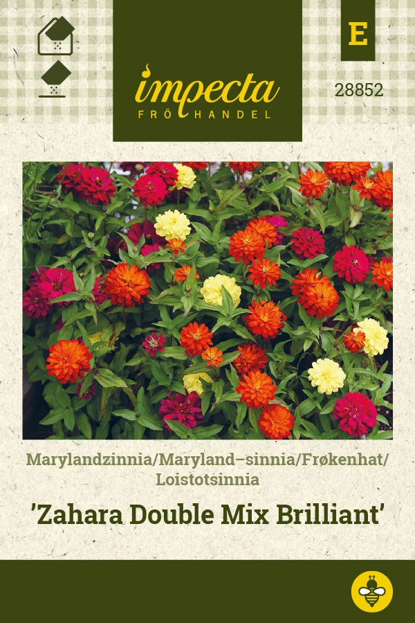 Frø: Marylandzinnia 'Zahara Double Mix Brilliant'