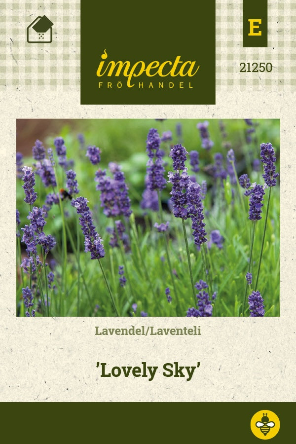Frø: Lavandula angustifolia 'Lovely Sky'
