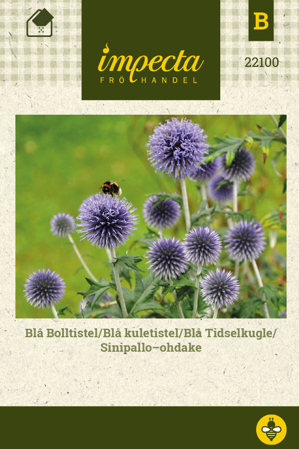 Frø: Echinops bannaticus