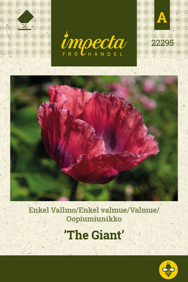 Frø: Papaver somniferum 'The Giant'