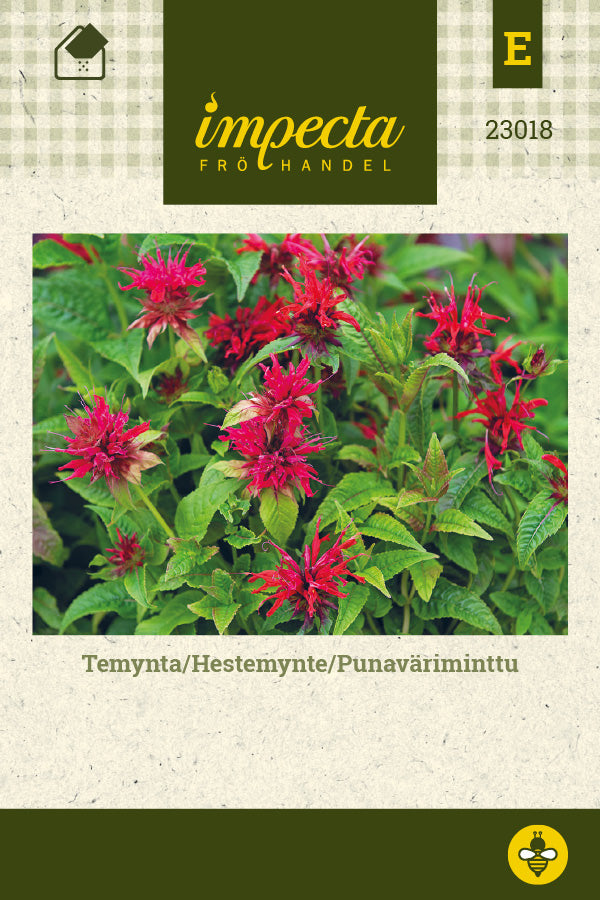Frø: Monarda didyma