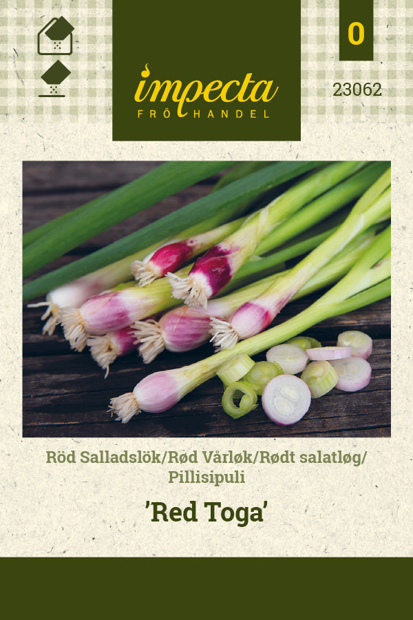 Frø: Allium fistulosum 'Red Toga'