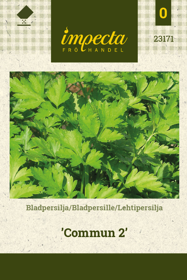 Frø: Petroselinum crispum 'Commun 2'
