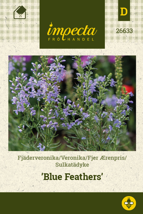 Frø: Veronica pinnata 'Blue Feathers'