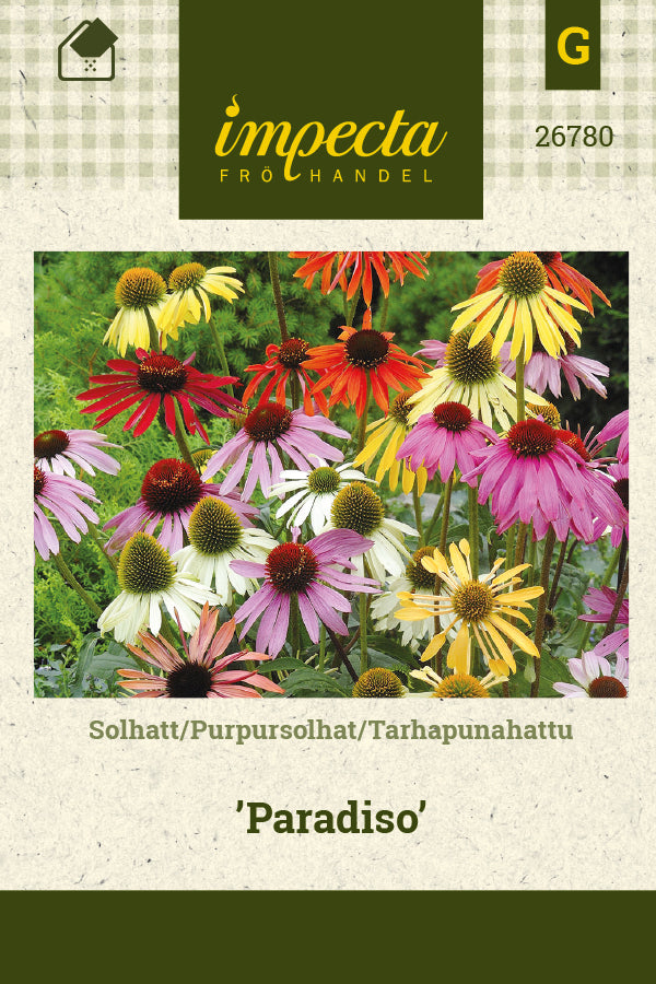 Frø: Echinacea x hybrida 'Paradiso'
