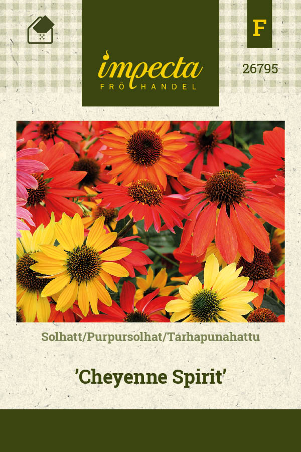 Frø: Echinacea x hybrida 'Cheyenne Spirit'