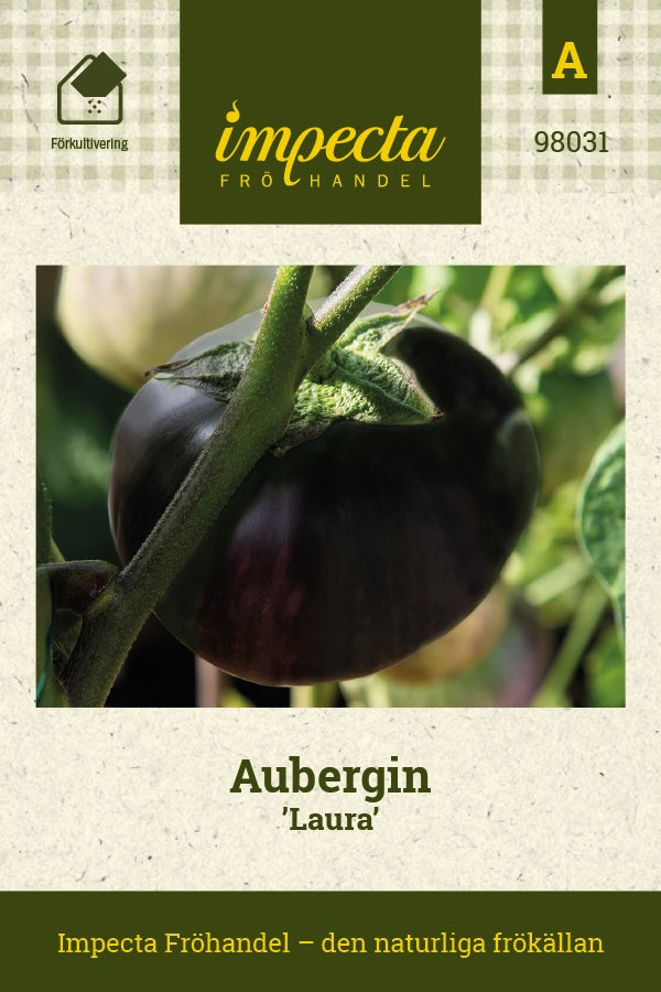 Frø: Aubergine 'Laura'