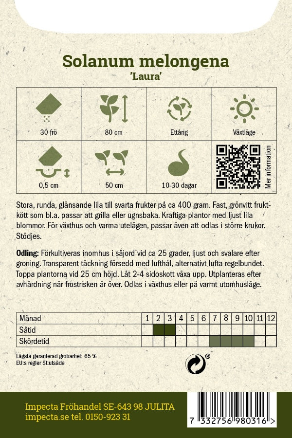 Frø: Aubergine 'Laura'