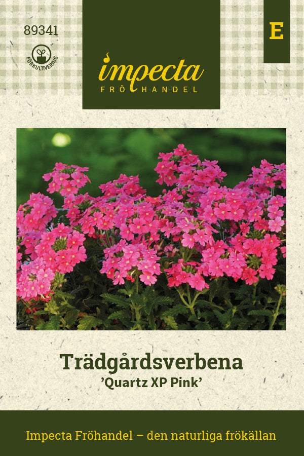 Frø: Have-verbena 'Quartz XP Pink'