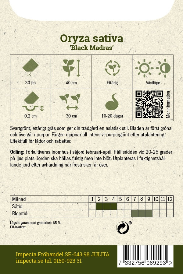 Frø: Prydgræs 'Black Madras'