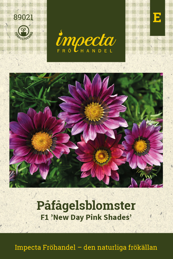 Frø: Påfugleblomster F1 'New Day Pink Shades'