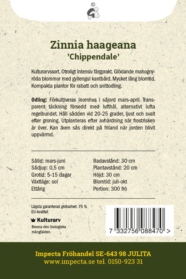 Frø: Frøkenhat 'Chippendale'