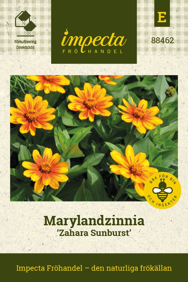 Frø: Frøkenhat 'Zahara Sunburst'