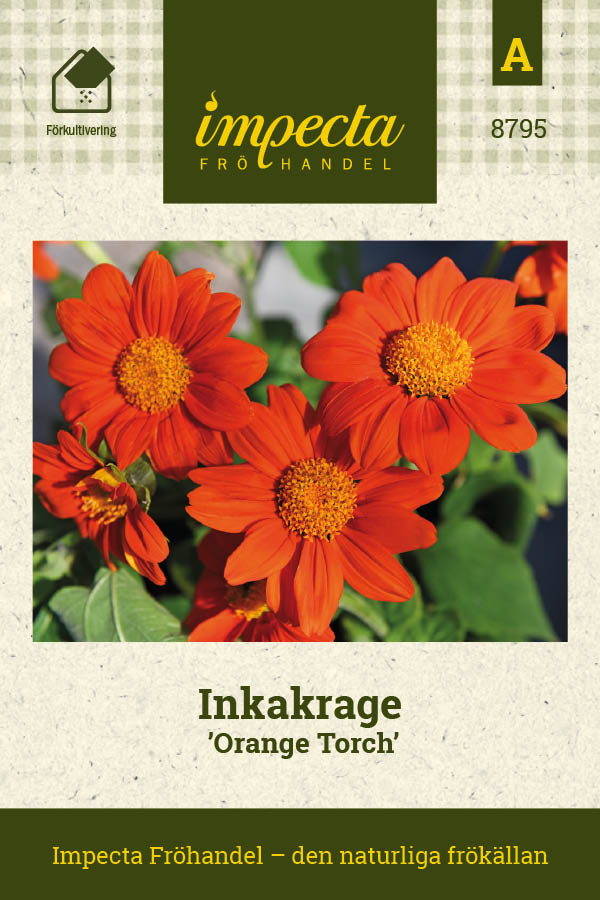 Frø: Mexicansk solblomst 'Orange Torch'