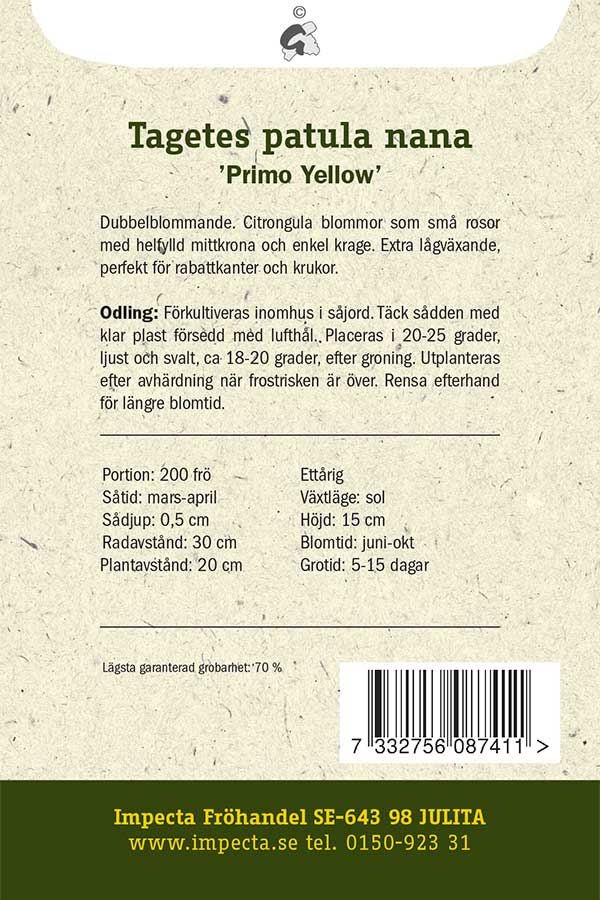 Frø: Udspærret fløjlsblomst 'Primo Yellow'