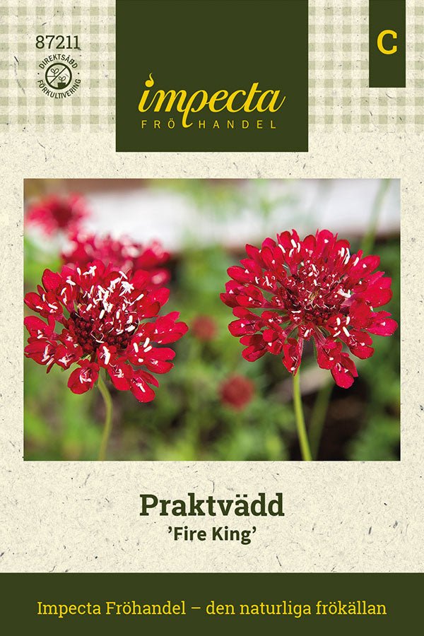 Frø: Enkeblomst 'Fire King'