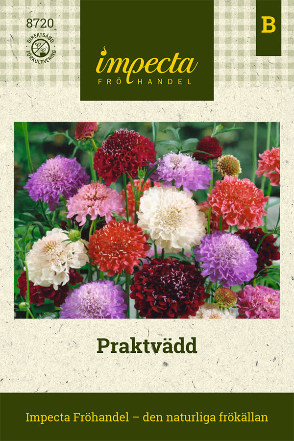 Frø: Enkeblomst