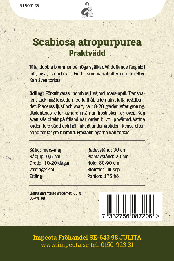 Frø: Enkeblomst