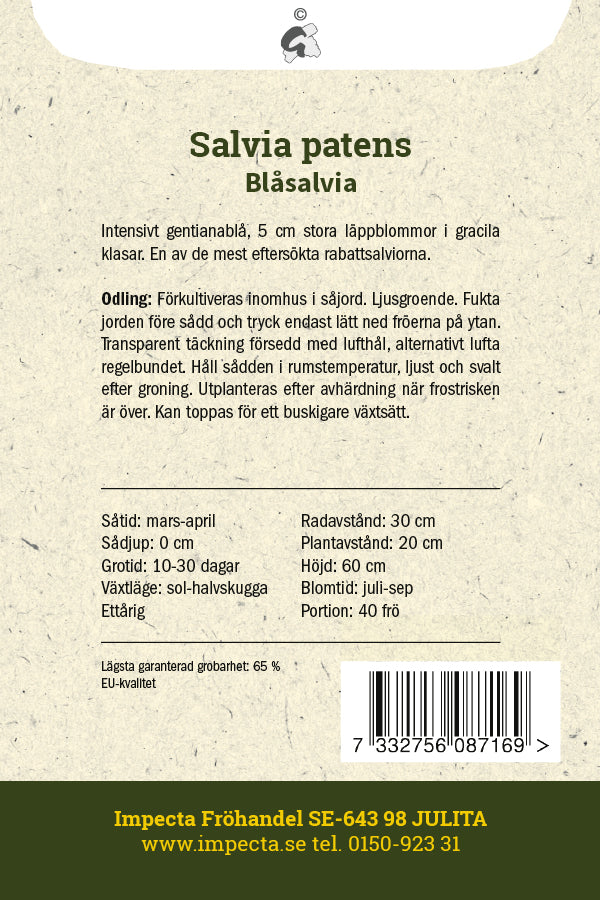 Frø: Blå salvie
