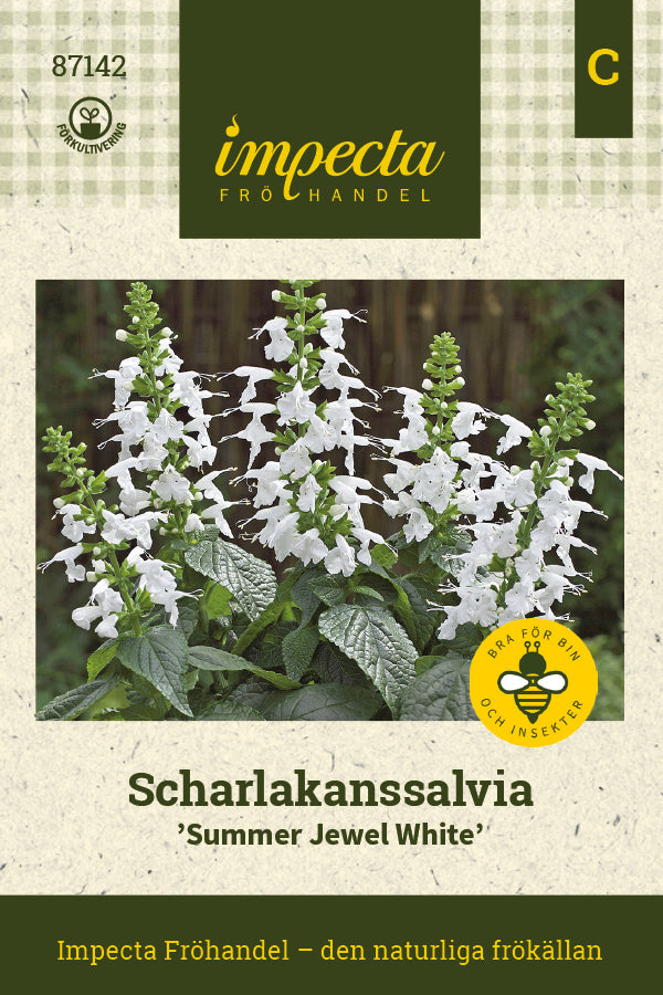 Frø: Skarlagensalvie 'Summer Jewel White'