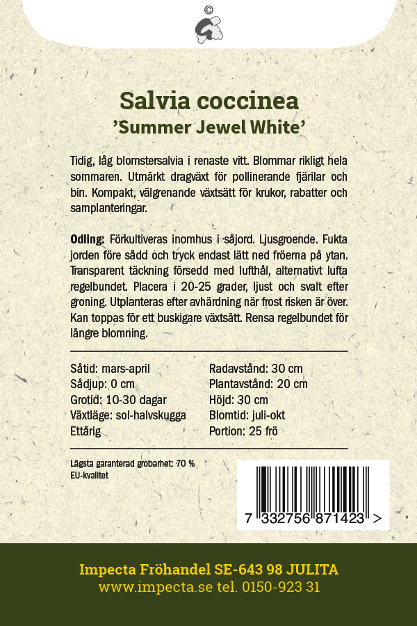 Frø: Skarlagensalvie 'Summer Jewel White'