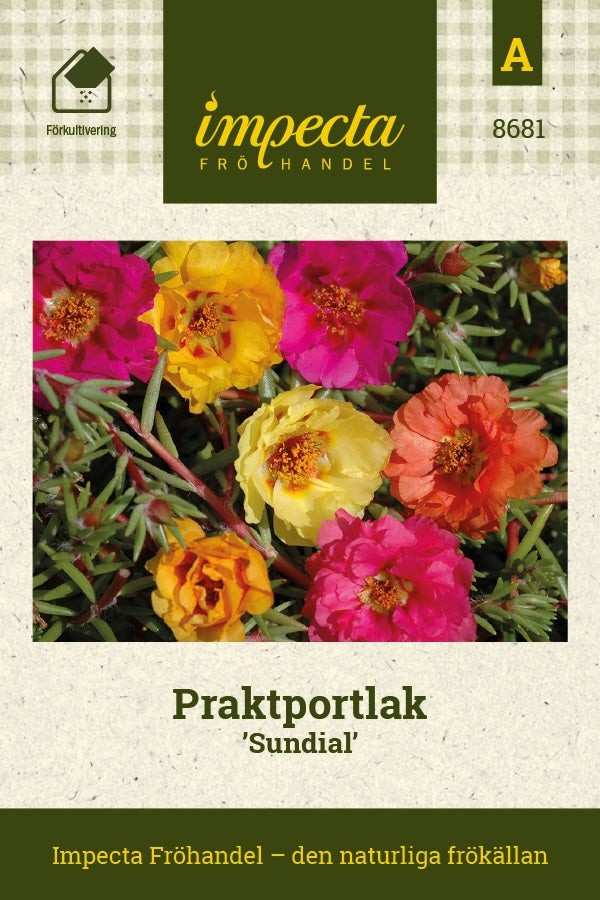 Frø: Solportulak 'Sundial'