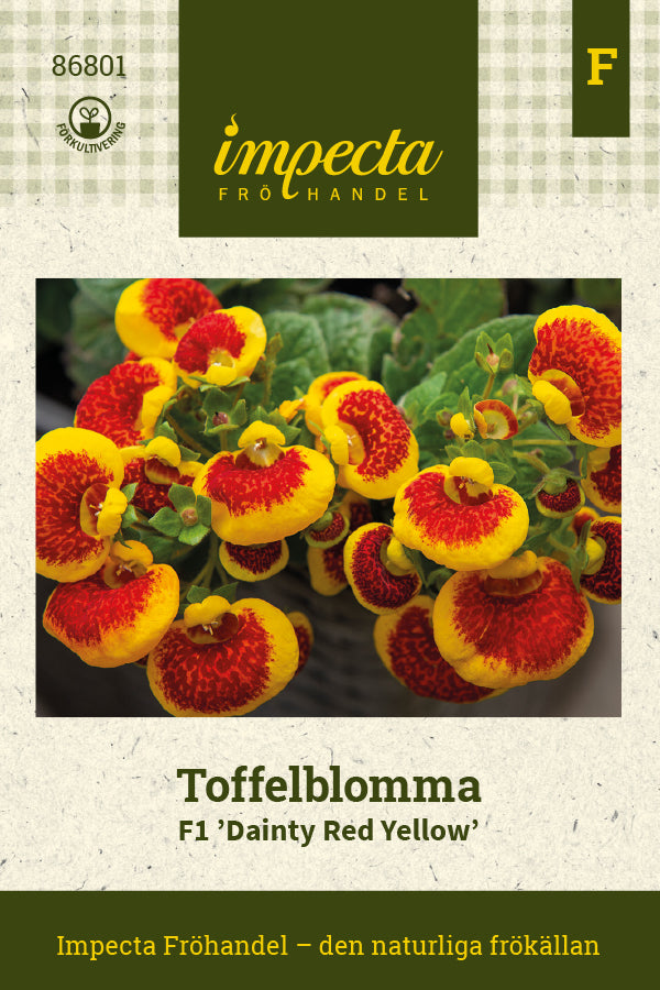 Frø: Tøffelblomst F1 'Dainty Red Yellow'