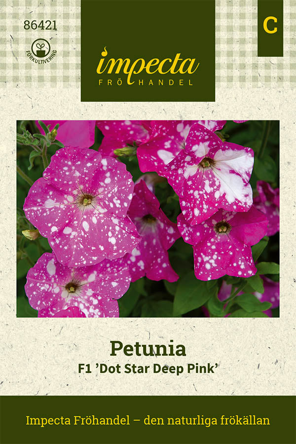 Frø: Petunia F1 'Dot Star Deep Pink'