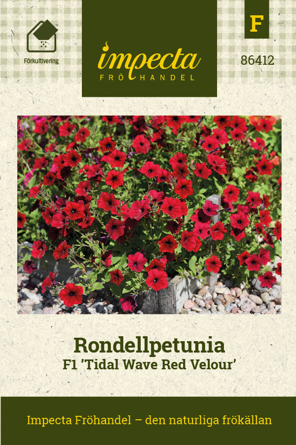 Frø: Rondelpetunia F1 'Tidal Wave Red Velour'