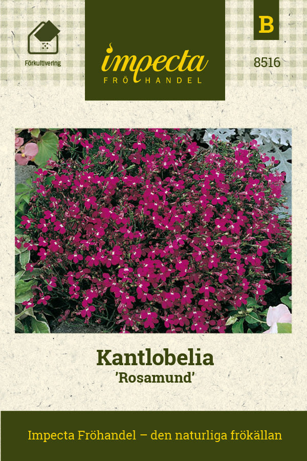 Frø: Kantlobelia 'Rosamund'