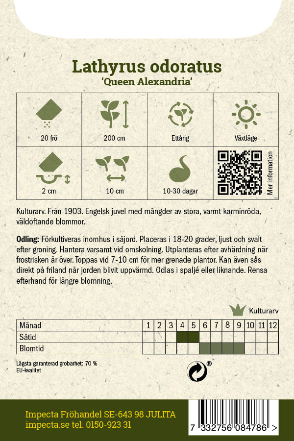 Frø: Ærteblomst 'Queen Alexandria'
