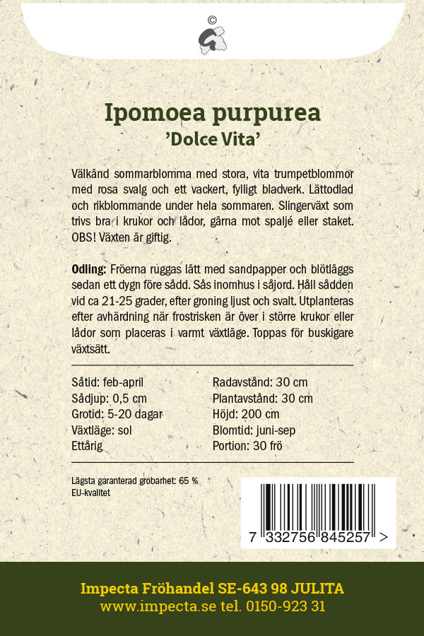 Frø: Pragtsnerle 'Dolce Vita'