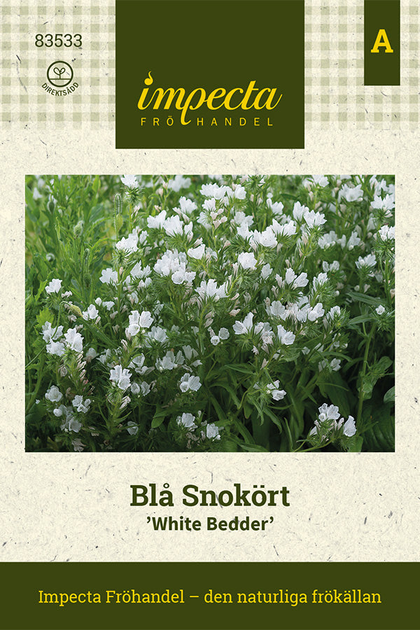 Frø: Slangehoved 'White Bedder'