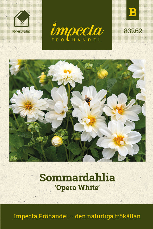 Frø: Sommergeogine 'Opera White'