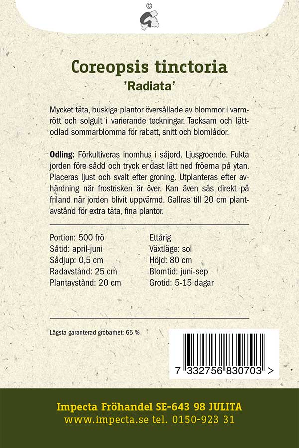 Frø: Skønhedsøje 'Radiata'