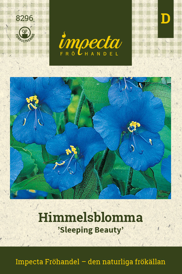 Frø: Himmelblomst 'Sleeping Beauty'
