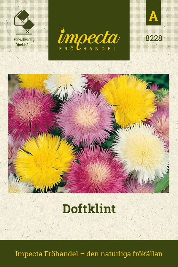 Frø: Duftknopurt