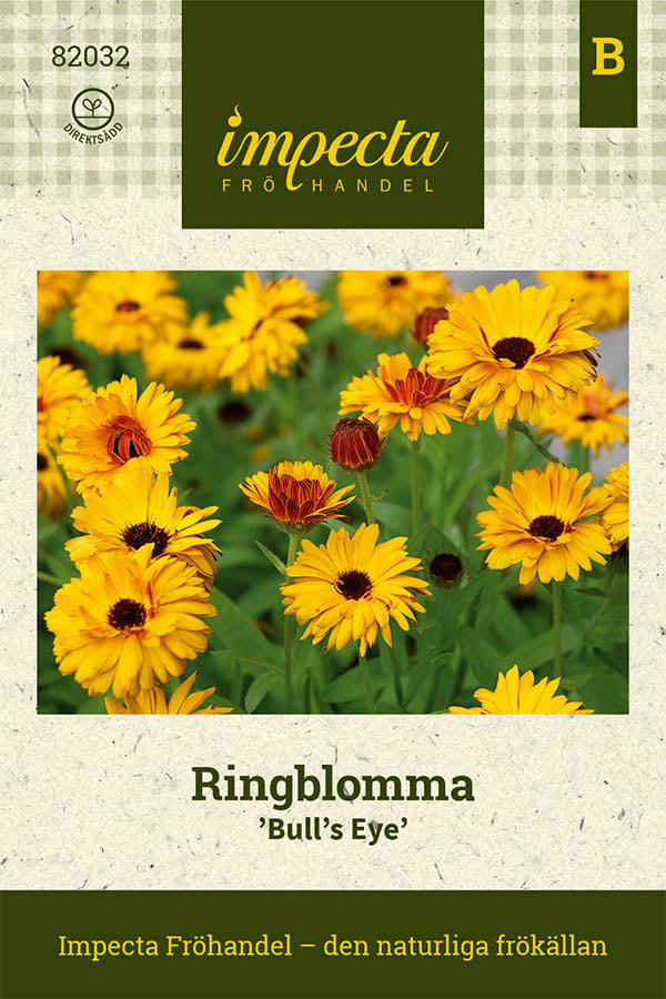 Frø: Morgenfrue 'Bull's Eye'